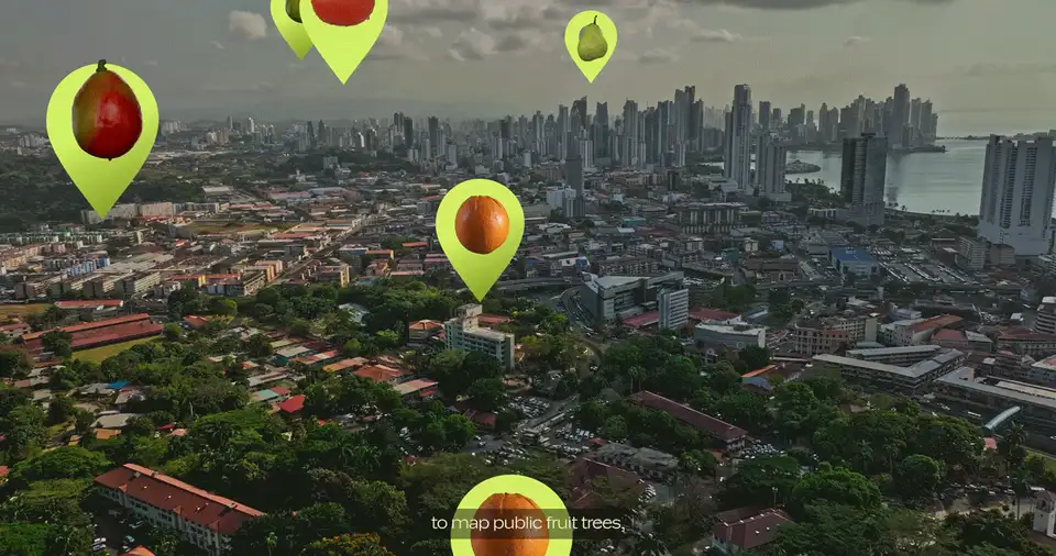 Low Hanging Nutrients - árboles frutales geolocalizados sobre Ciudad de Panamá