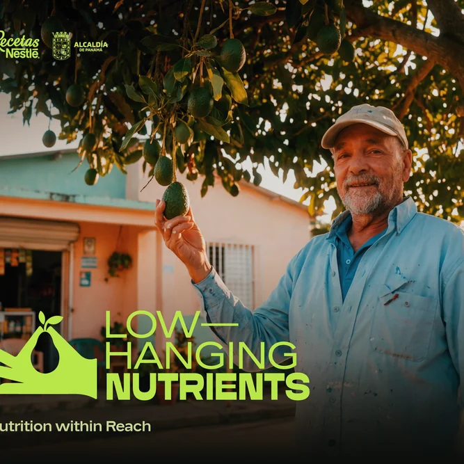 Low Hanging Nutrients - Nestlé