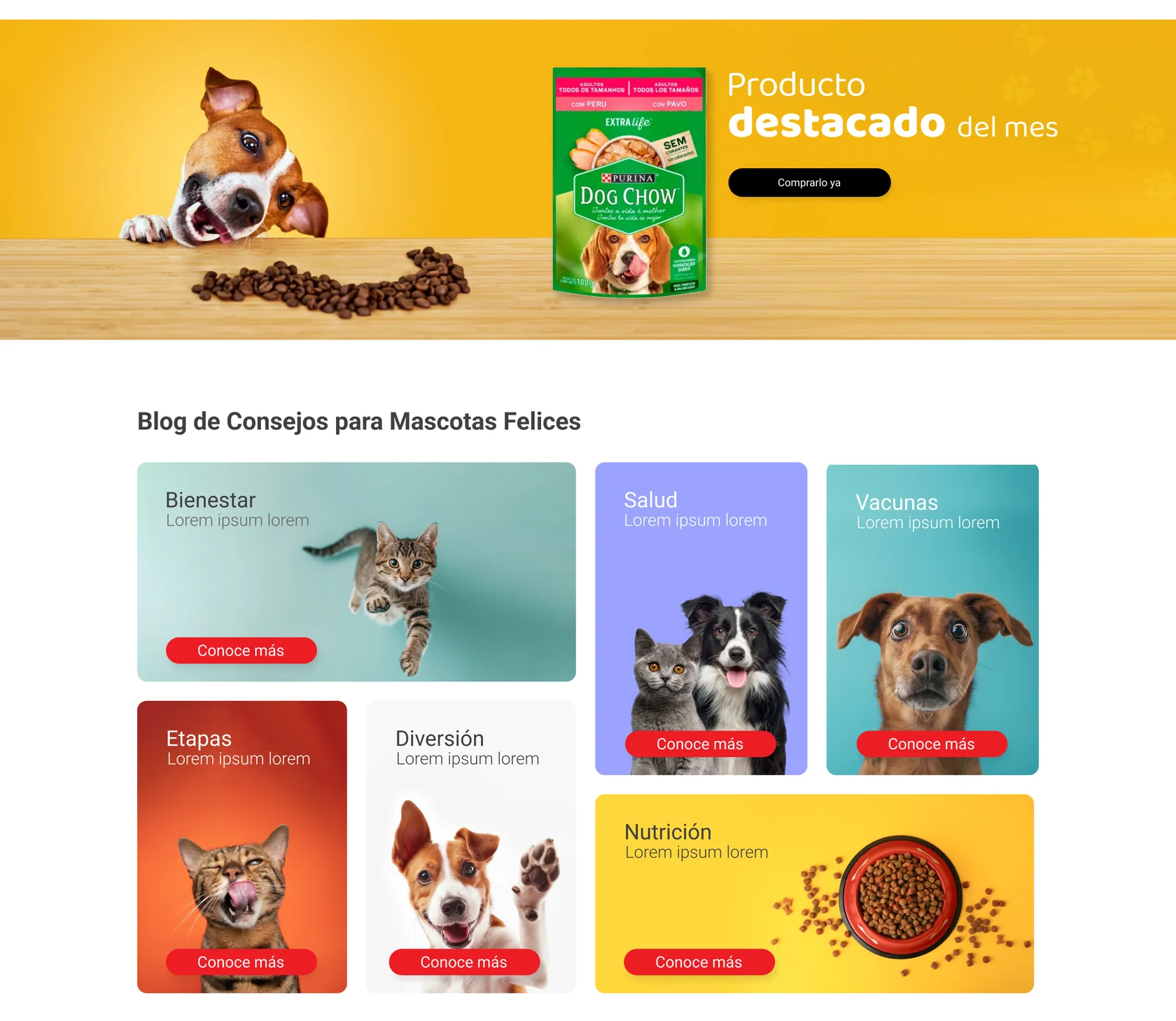 Home: producto destacado del mes y blog de consejos
