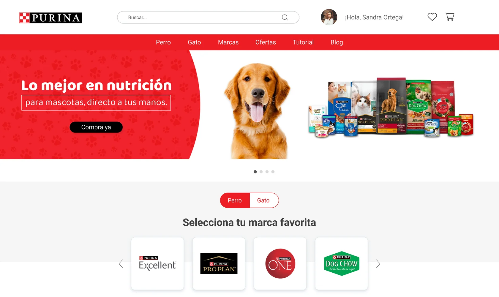 Home: banner principal y selección de marca favorita